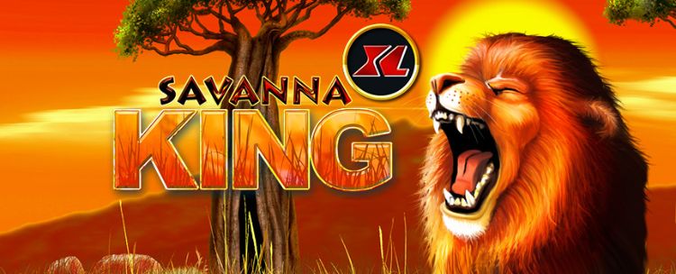 vwin-huong-dan-choi-slot-savanna-king-xl-6