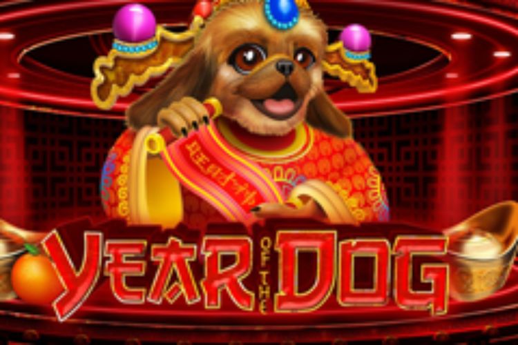 vwin-huong-dan-choi-slot-year-of-the-dog-6