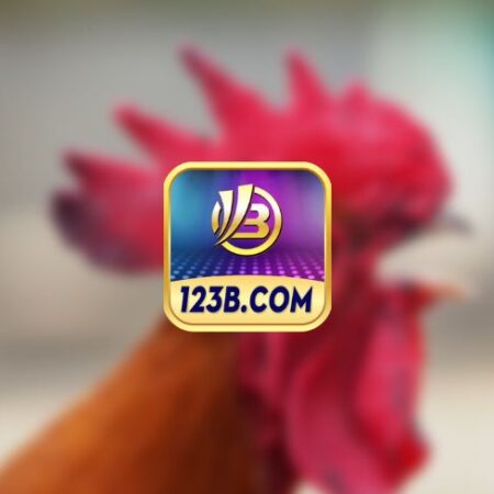 123B đá gà DIGMAAN – Hướng dẫn cược đá gà online