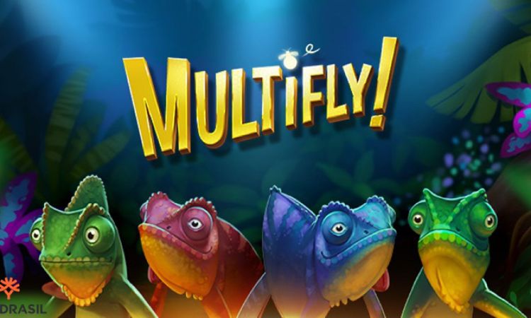 multifly-vwin-1